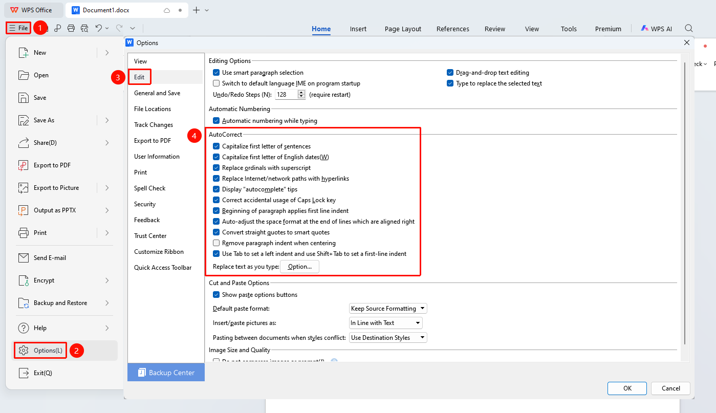 【EN】WPS Docs AutoCorrect Feature User Guide_截图01